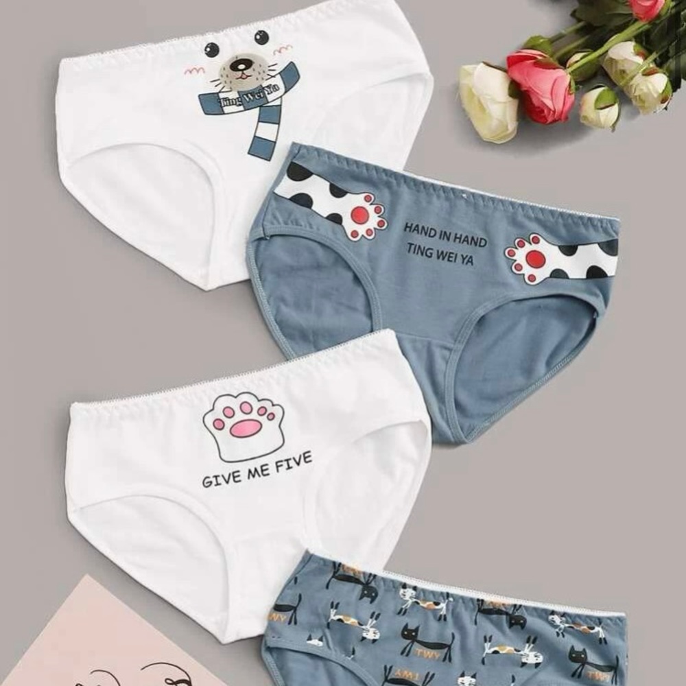 SHEIN pack of four underwear, never worn